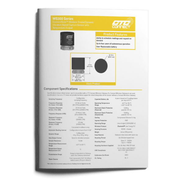 WS300 Datasheet
